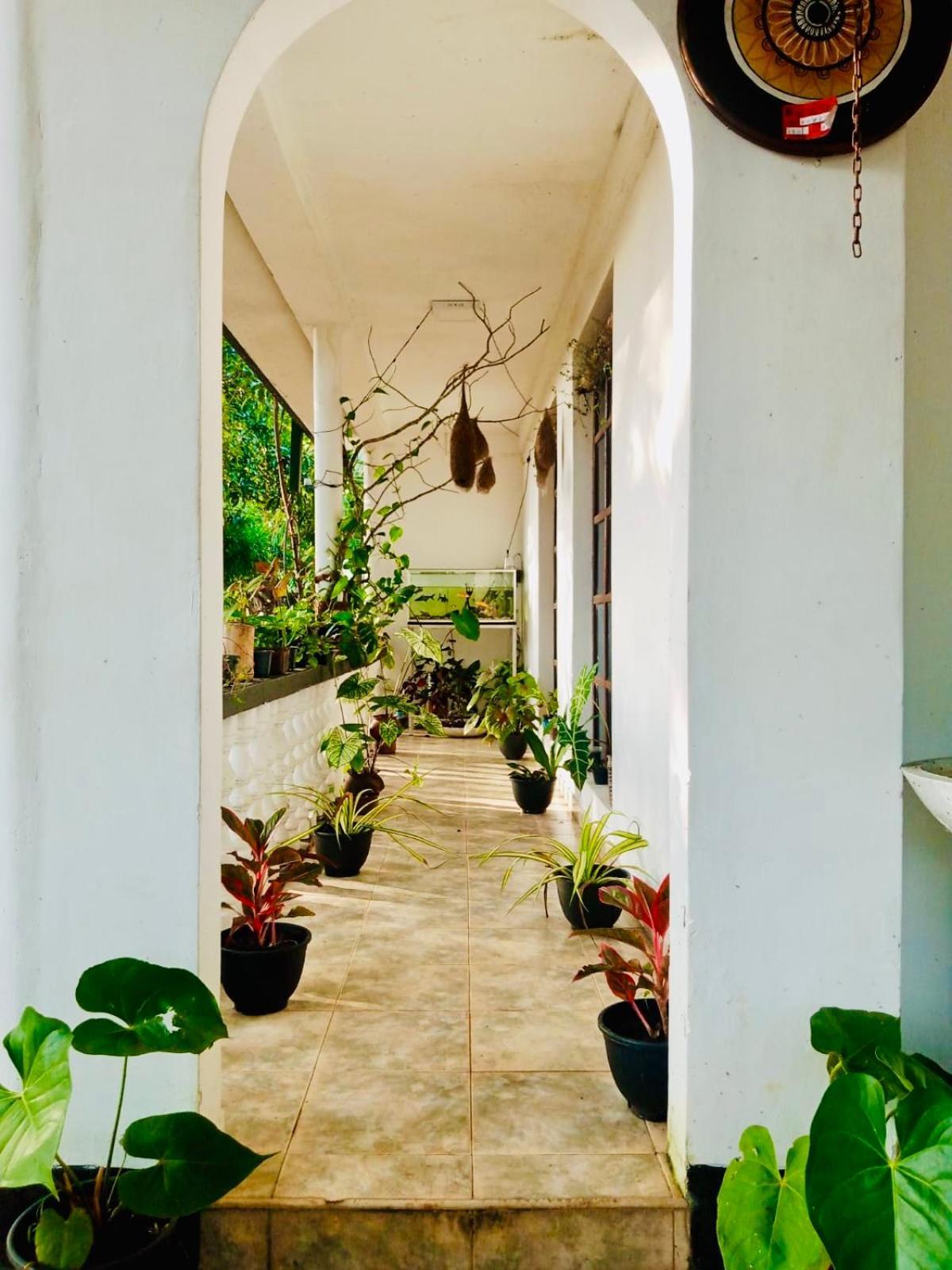 Abhaya Resorts Anuradhapura Esterno foto